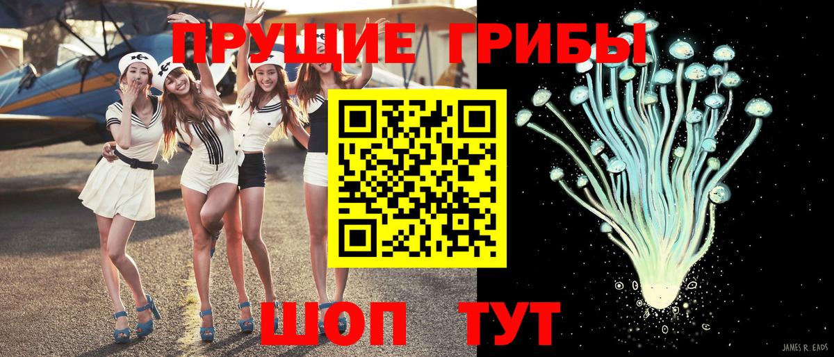 Галлюциногенные грибы GOLDEN TEACHER Ноябрьск